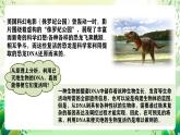 人教版高中生物必修二4.1《基因指导蛋白质的合成》（第1课时）课件+教案+分层练习+导学案