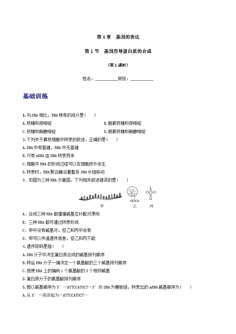 人教版高中生物必修二4.1《基因指导蛋白质的合成》（第1课时）（分层作业）（原卷版)第1页