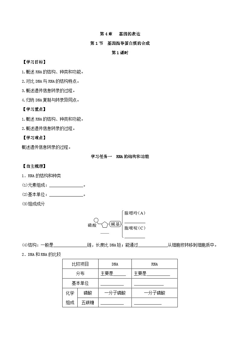 人教版高中生物必修二4.1《基因指导蛋白质的合成》（第1课时）（导学案）（原卷版）第1页