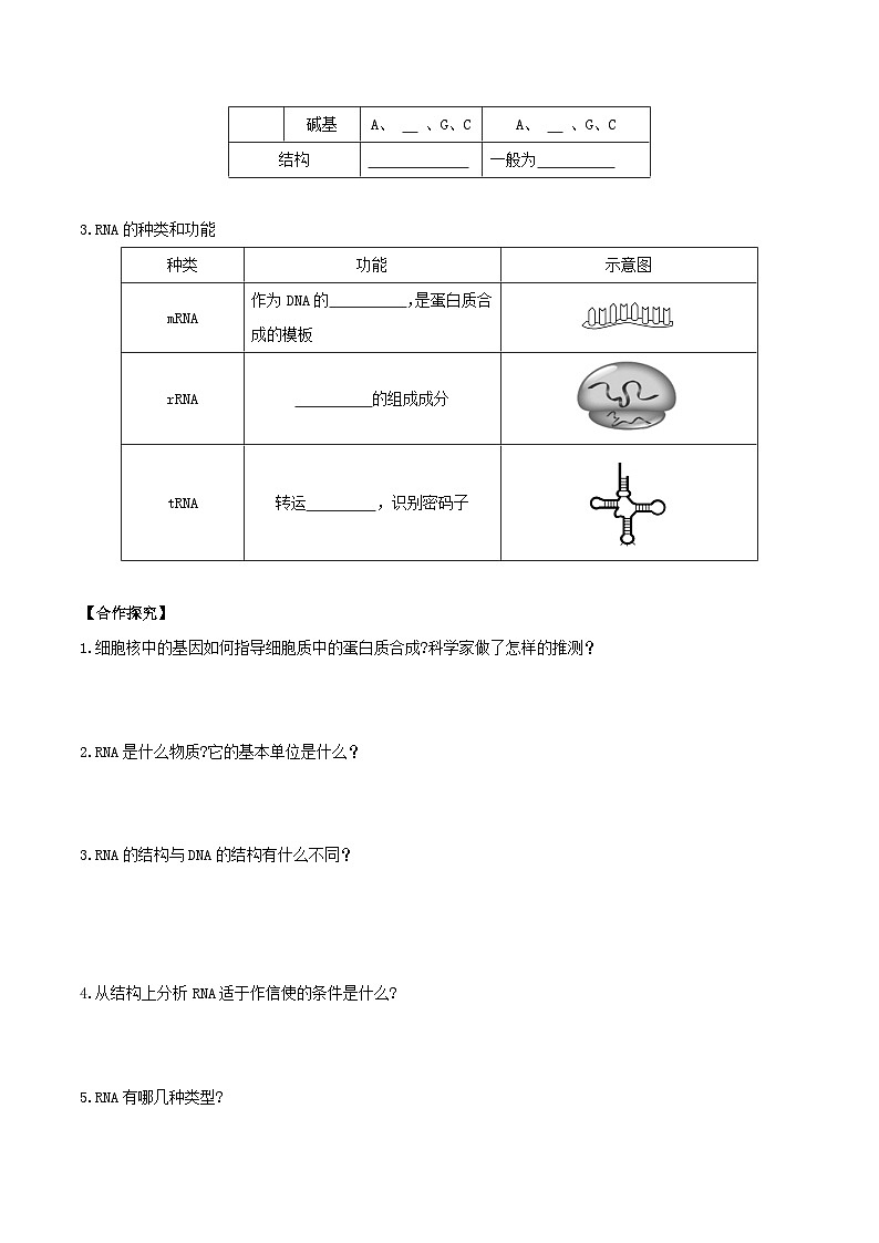 人教版高中生物必修二4.1《基因指导蛋白质的合成》（第1课时）（导学案）（原卷版）第2页