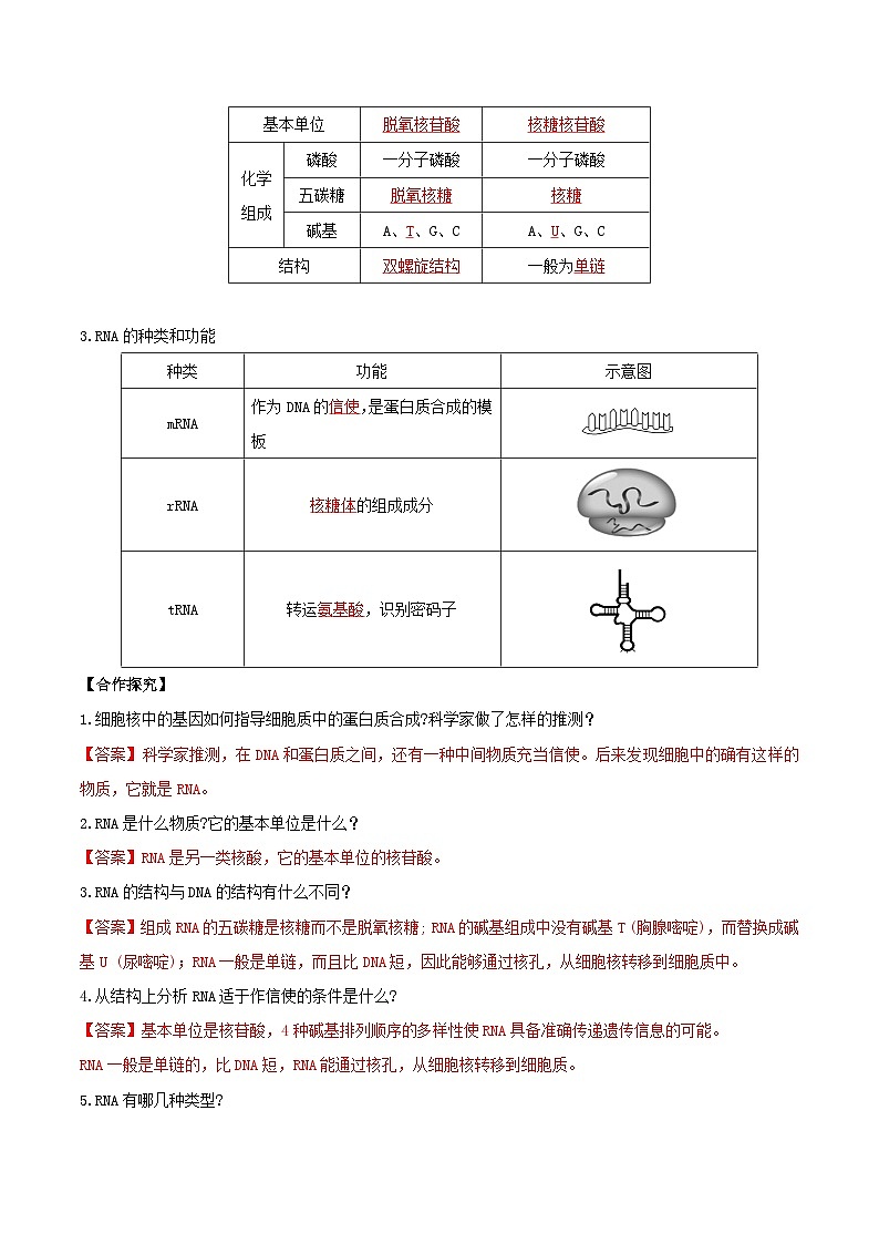 人教版高中生物必修二4.1《基因指导蛋白质的合成》（第1课时）（导学案）（解析版）第2页