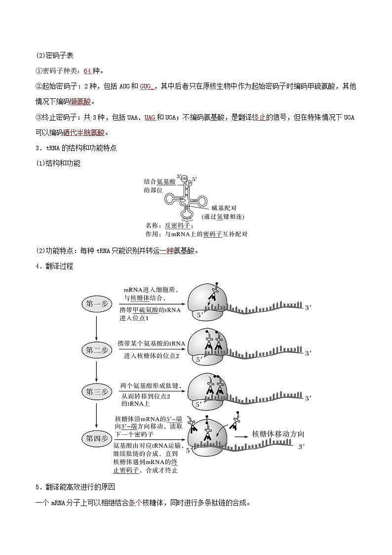 人教版高中生物必修二4.1《基因指导蛋白质的合成》（第2课时）（导学案）（解析版）第2页