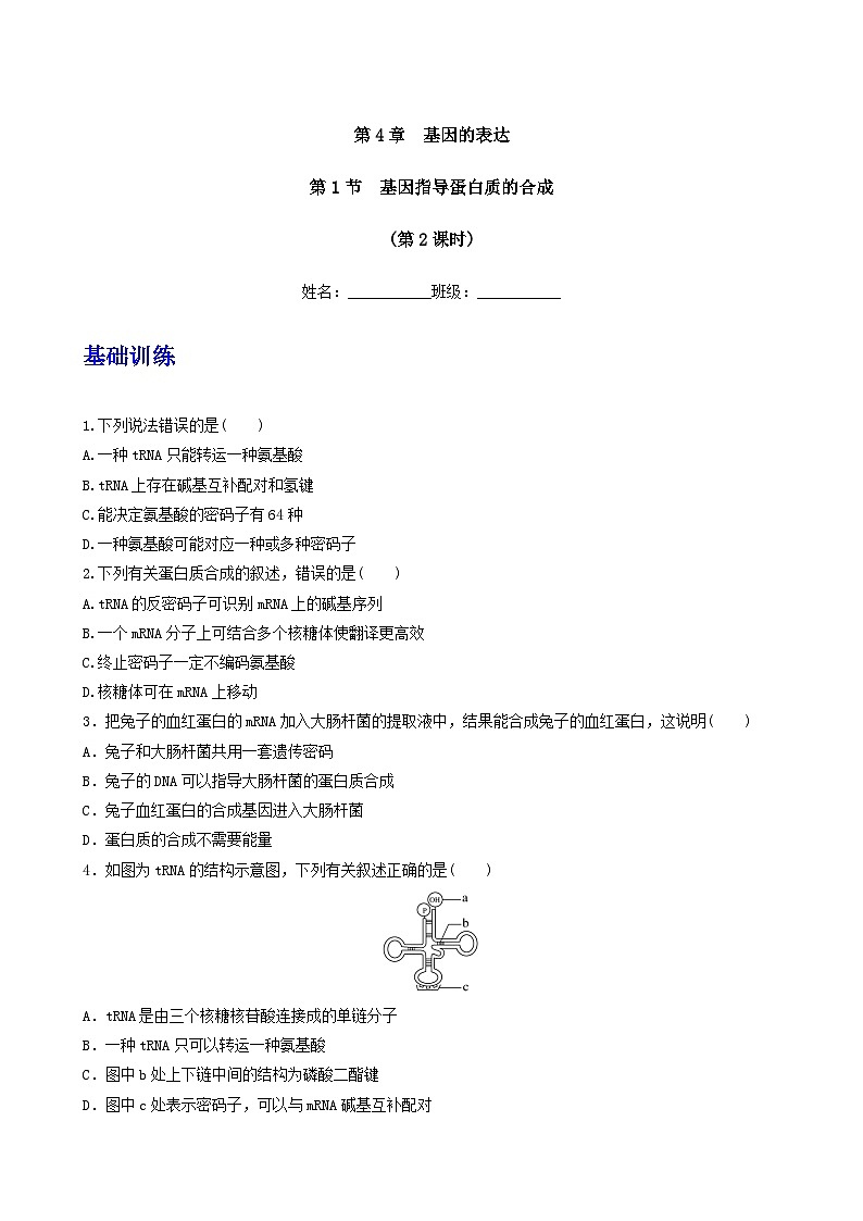 人教版高中生物必修二4.1《基因指导蛋白质的合成》（第2课时）（分层作业）（原卷版)第1页