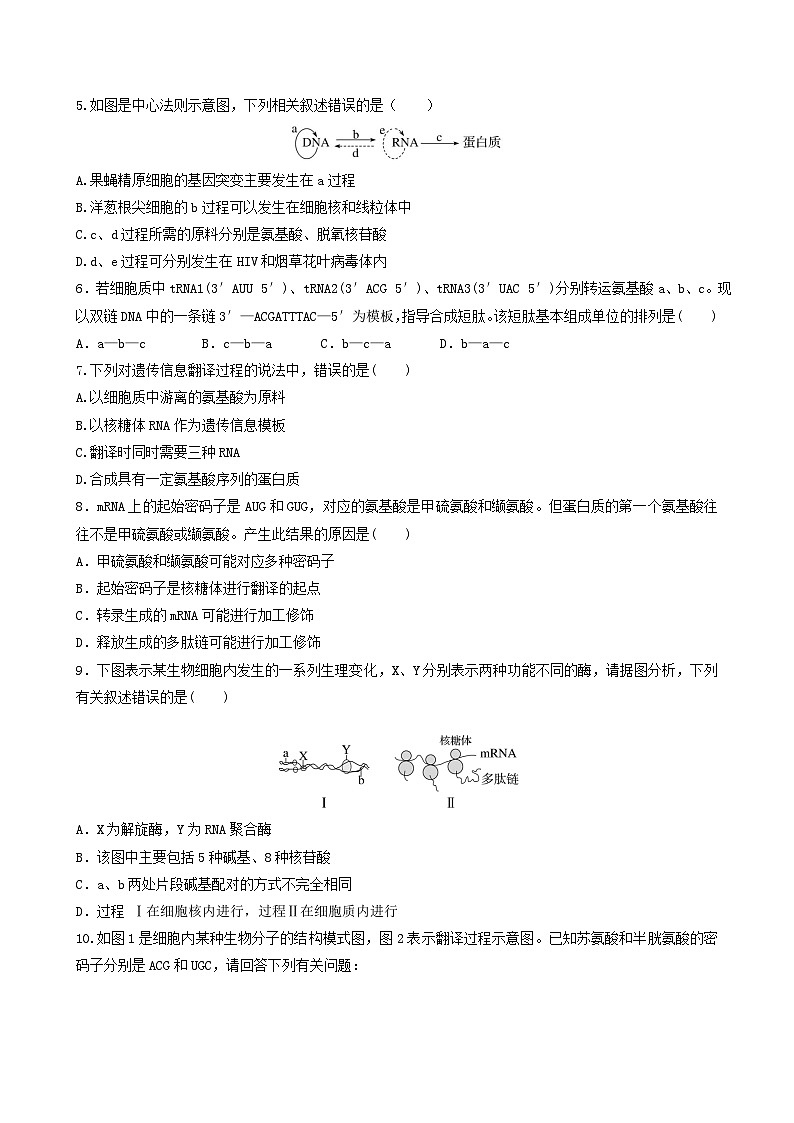 人教版高中生物必修二4.1《基因指导蛋白质的合成》（第2课时）（分层作业）（原卷版)第2页