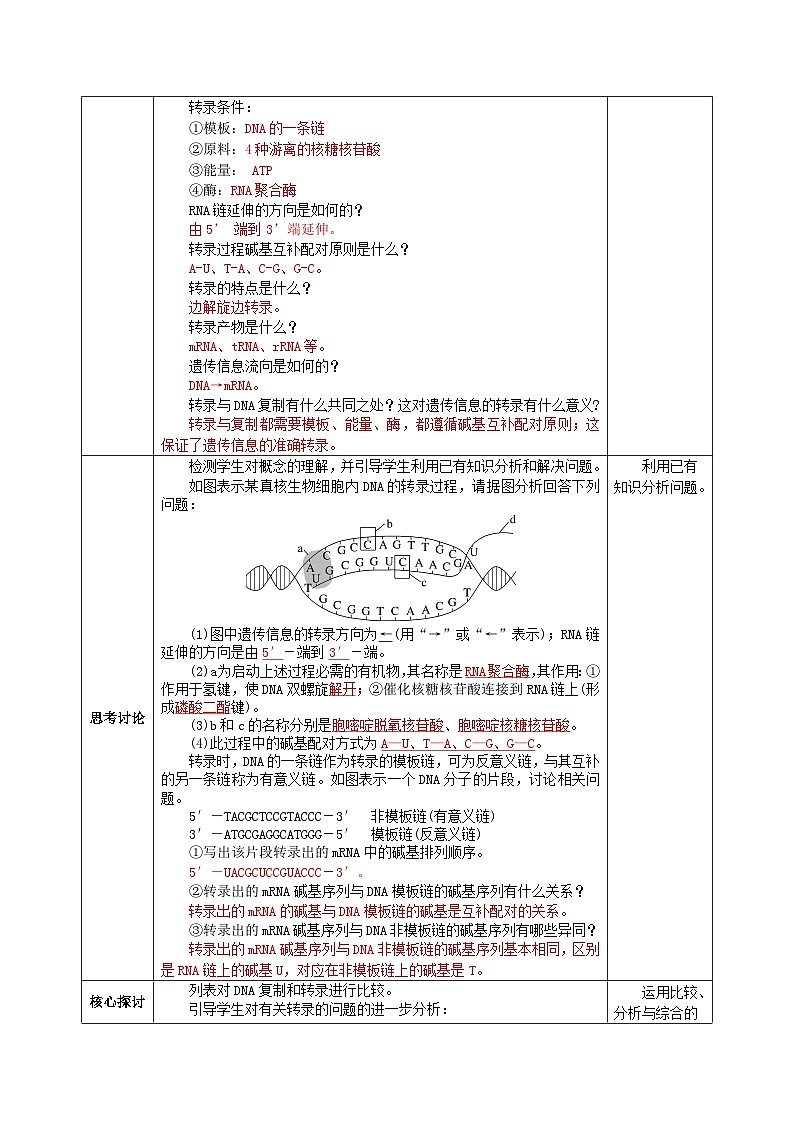 人教版高中生物必修二4.1《基因指导蛋白质的合成》（教学设计）第3页