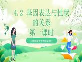 人教版高中生物必修二4.2《基因表達與性狀的關系》（第1課時）課件+教案+分層練習+導學案