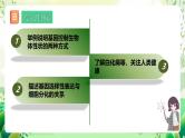 人教版高中生物必修二4.2《基因表达与性状的关系》（第1课时）课件+教案+分层练习+导学案