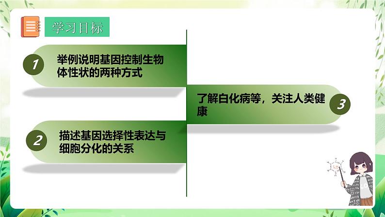 人教版高中生物必修二4.2《基因表达与性状的关系》（第1课时）（教学课件）第2页