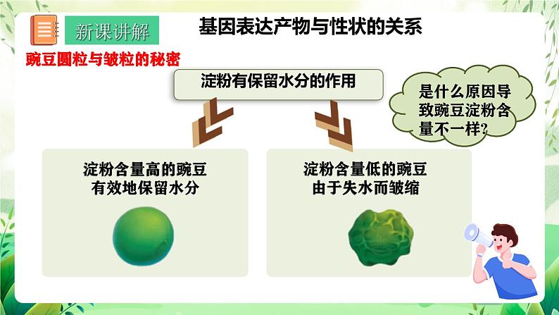 人教版高中生物必修二4.2《基因表达与性状的关系》（第1课时）（教学课件）第4页