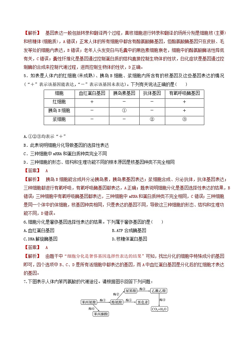人教版高中生物必修二4.2《基因表达与性状的关系》（第1课时）（分层作业）（解析版)第2页