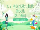 人教版高中生物必修二4.2《基因表达与性状的关系》（第2课时）课件+教案+分层练习+导学案