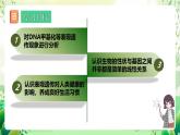人教版高中生物必修二4.2《基因表达与性状的关系》（第2课时）课件+教案+分层练习+导学案