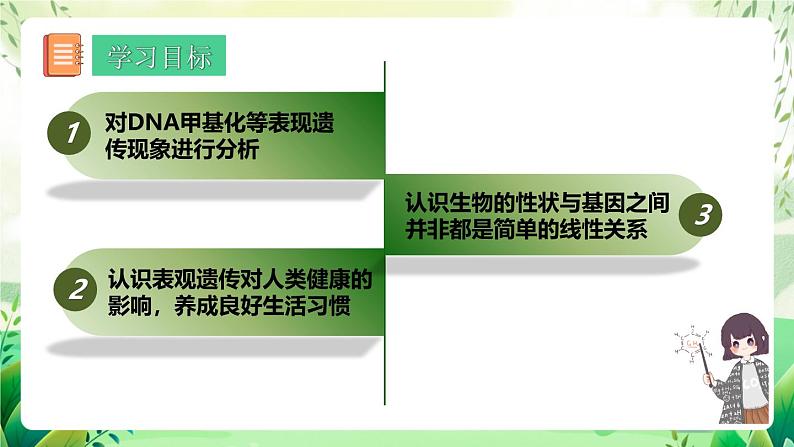 人教版高中生物必修二4.2《基因表达与性状的关系》（第2课时）（教学课件）第2页