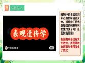 人教版高中生物必修二4.2《基因表达与性状的关系》（第2课时）课件+教案+分层练习+导学案