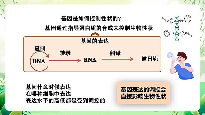 人教版高中生物必修二4.2《基因表达与性状的关系》（第2课时）（教学课件）第4页