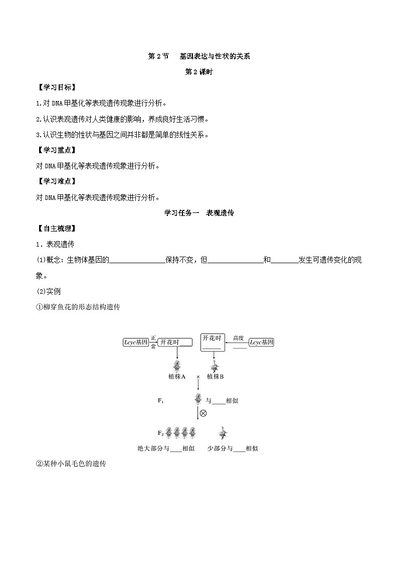 人教版高中生物必修二4.2《基因表达与性状的关系》（第2课时）（导学案）（原卷版）第1页