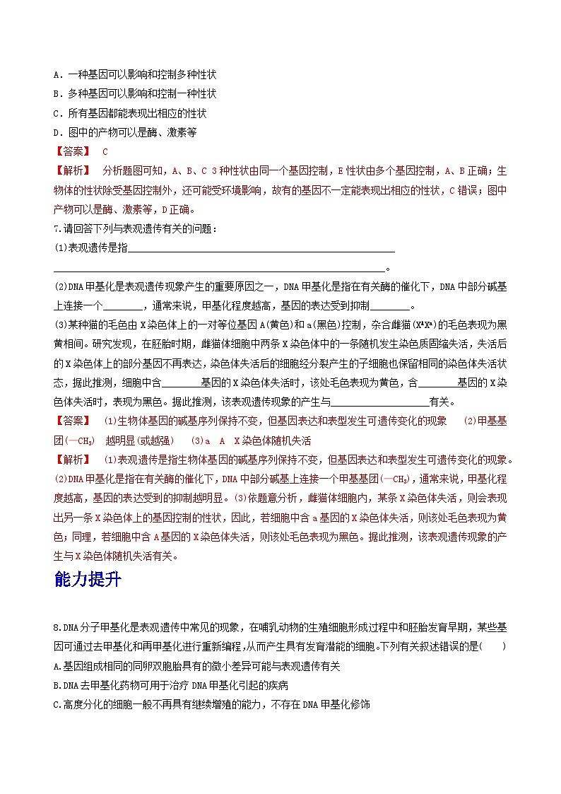 人教版高中生物必修二4.2《基因表达与性状的关系》（第2课时）（分层作业）（解析版)第3页