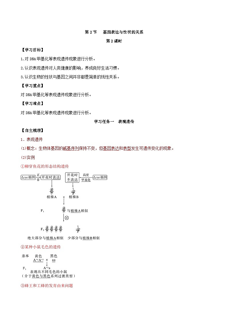 人教版高中生物必修二4.2《基因表达与性状的关系》（第2课时）（导学案）（解析版）第1页