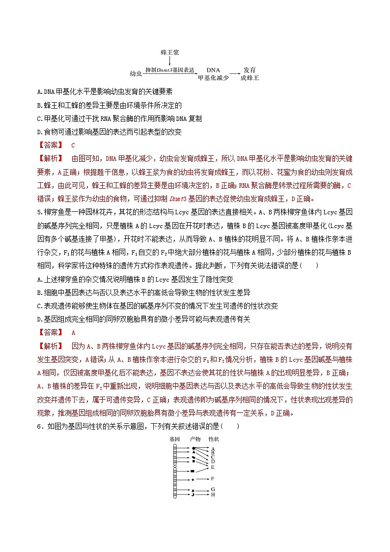 人教版高中生物必修二4.2《基因表达与性状的关系》（第2课时）（分层作业）（原卷版)第2页