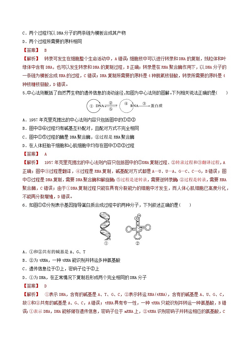 人教版高中生物必修二第4章《基因的表达》（单元检测）（解析版）第2页