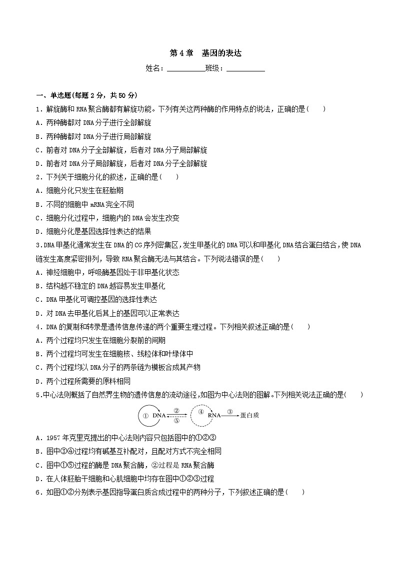 人教版高中生物必修二第4章《基因的表达》（单元检测）（原卷版）第1页