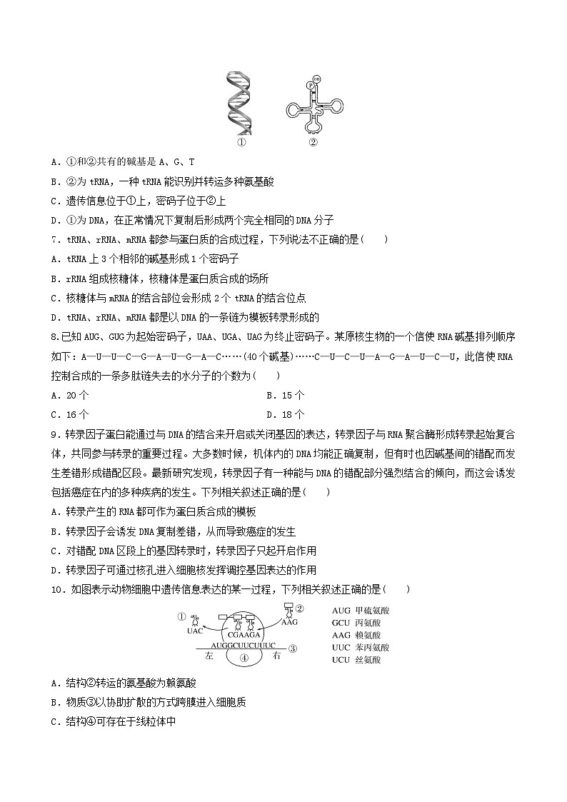 人教版高中生物必修二第4章《基因的表达》（单元检测）（原卷版）第2页