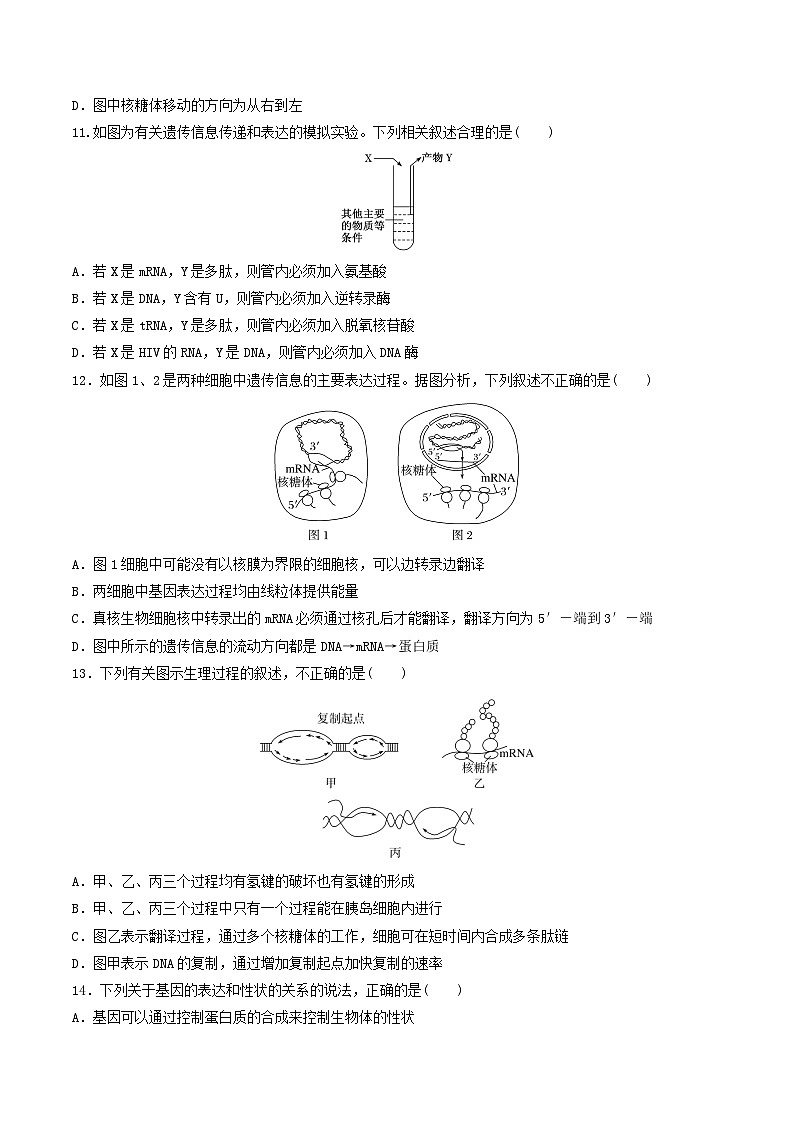 人教版高中生物必修二第4章《基因的表达》（单元检测）（原卷版）第3页
