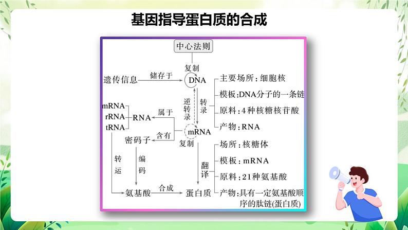 人教版高中生物必修二第4章《基因的表达》（单元复习课件）第3页