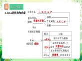 人教版高中生物必修二第4章《基因的表达》单元复习课件+单元解读课件+知识清单+单元测试