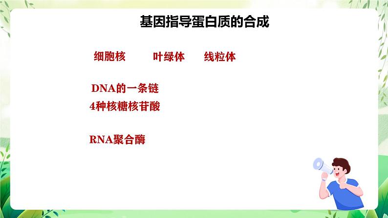 人教版高中生物必修二第4章《基因的表达》（单元复习课件）第7页