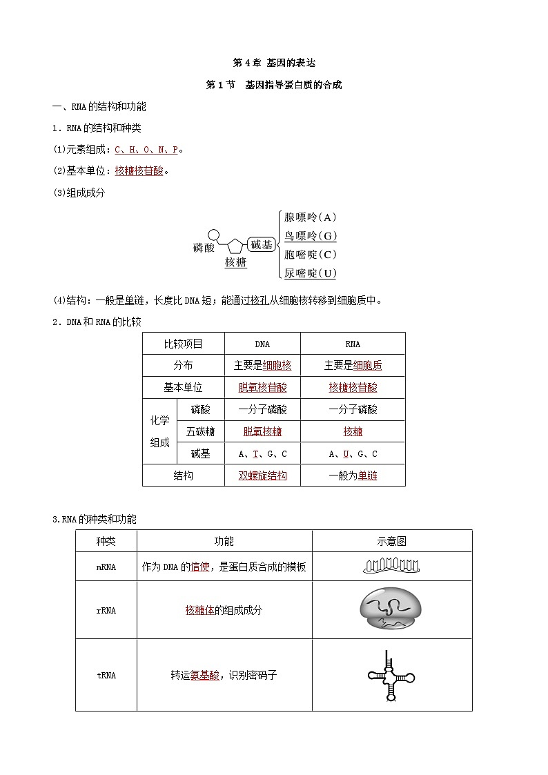人教版高中生物必修二第4章《基因的表达》（单元知识清单）（背诵版）第1页