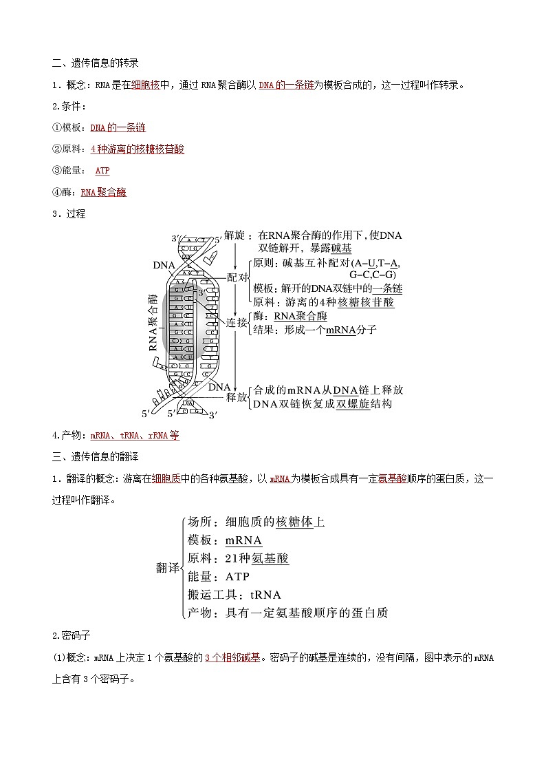 人教版高中生物必修二第4章《基因的表达》（单元知识清单）（背诵版）第2页