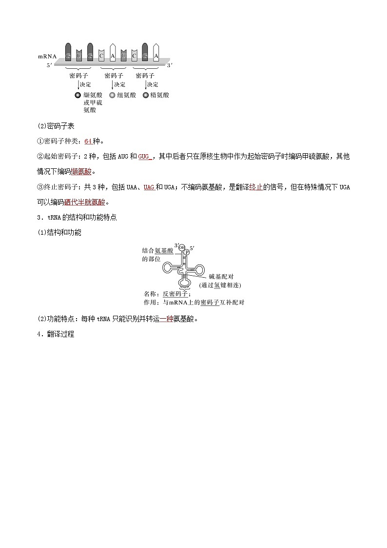 人教版高中生物必修二第4章《基因的表达》（单元知识清单）（背诵版）第3页