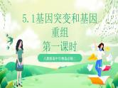 人教版高中生物必修二5.1《基因突变和基因重组》（第1课时）课件+教案+分层练习+导学案