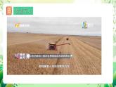 人教版高中生物必修二5.1《基因突变和基因重组》（第1课时）课件+教案+分层练习+导学案
