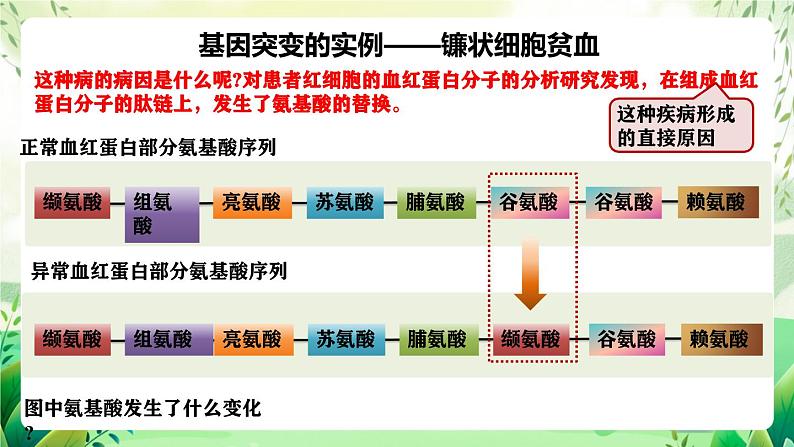 人教版高中生物必修二5.1《基因突变和基因重组》（第1课时）（教学课件）第7页