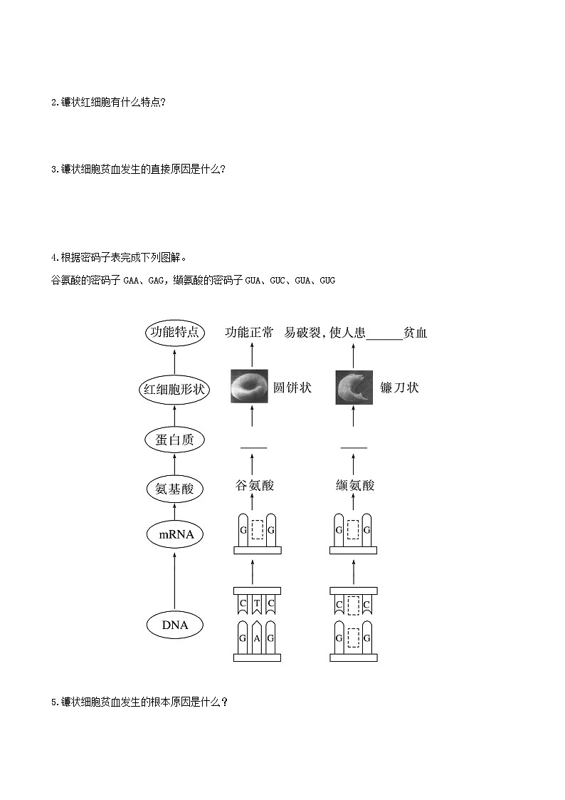 人教版高中生物必修二5.1《基因突变和基因重组》（第1课时）（导学案）（原卷版）第2页