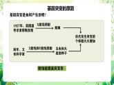 人教版高中生物必修二5.1《基因突变和基因重组》（第2课时）课件+教案+分层练习+导学案