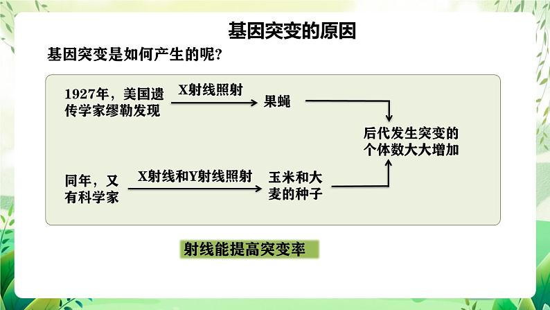 人教版高中生物必修二5.1《基因突变和基因重组》（第2课时）（教学课件）第3页