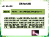 人教版高中生物必修二5.1《基因突变和基因重组》（第2课时）课件+教案+分层练习+导学案