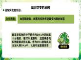 人教版高中生物必修二5.1《基因突变和基因重组》（第2课时）课件+教案+分层练习+导学案