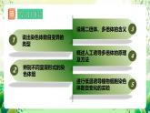 人教版高中生物必修二5.2《染色体变异》（第1课时）课件+教案+分层练习+导学案