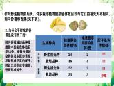 人教版高中生物必修二5.2《染色体变异》（第1课时）课件+教案+分层练习+导学案