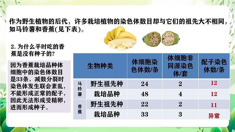 人教版高中生物必修二5.2《染色体变异》（第1课时）（教学课件）第4页