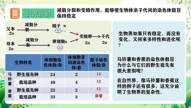 人教版高中生物必修二5.2《染色体变异》（第1课时）（教学课件）第6页