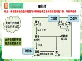 人教版高中生物必修二5.2《染色体变异》（第2课时）课件+教案+分层练习+导学案