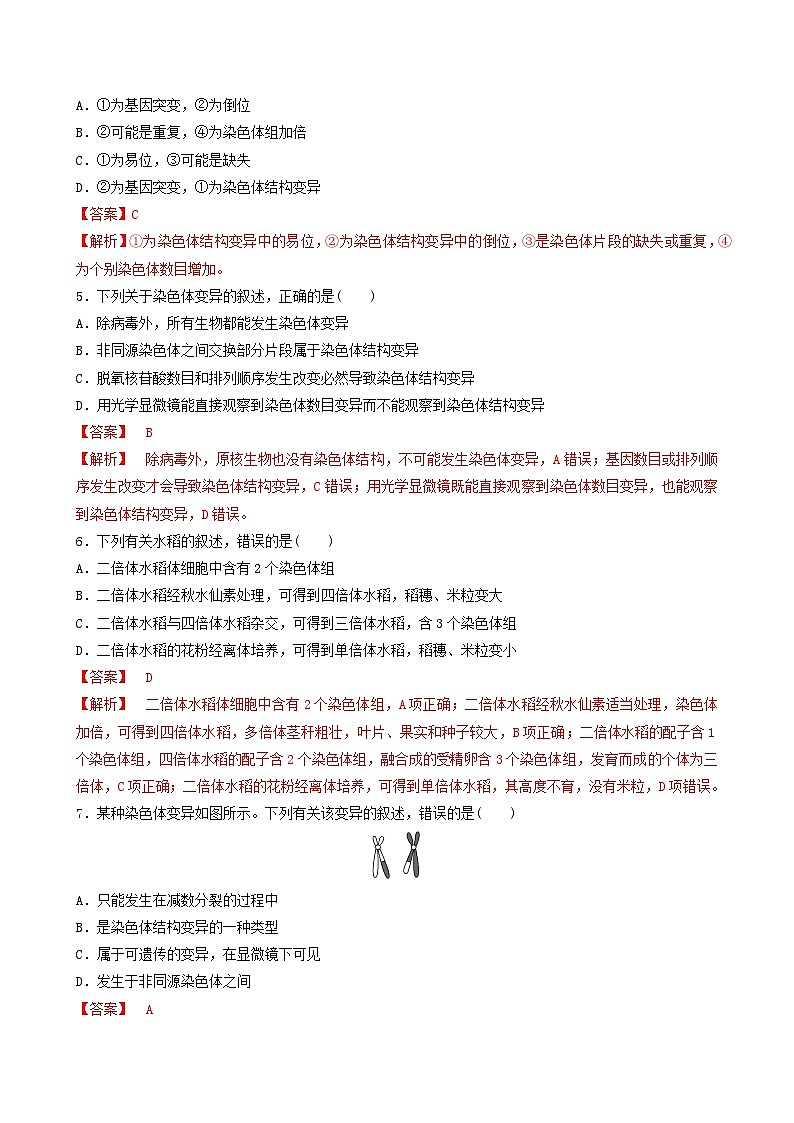 人教版高中生物必修二5.2《染色体变异》（第2课时）（分层作业）（解析版)第2页