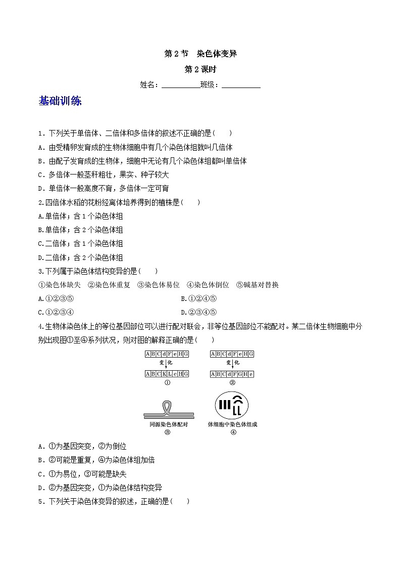 人教版高中生物必修二5.2《染色体变异》（第2课时）（分层作业）（原卷版)第1页