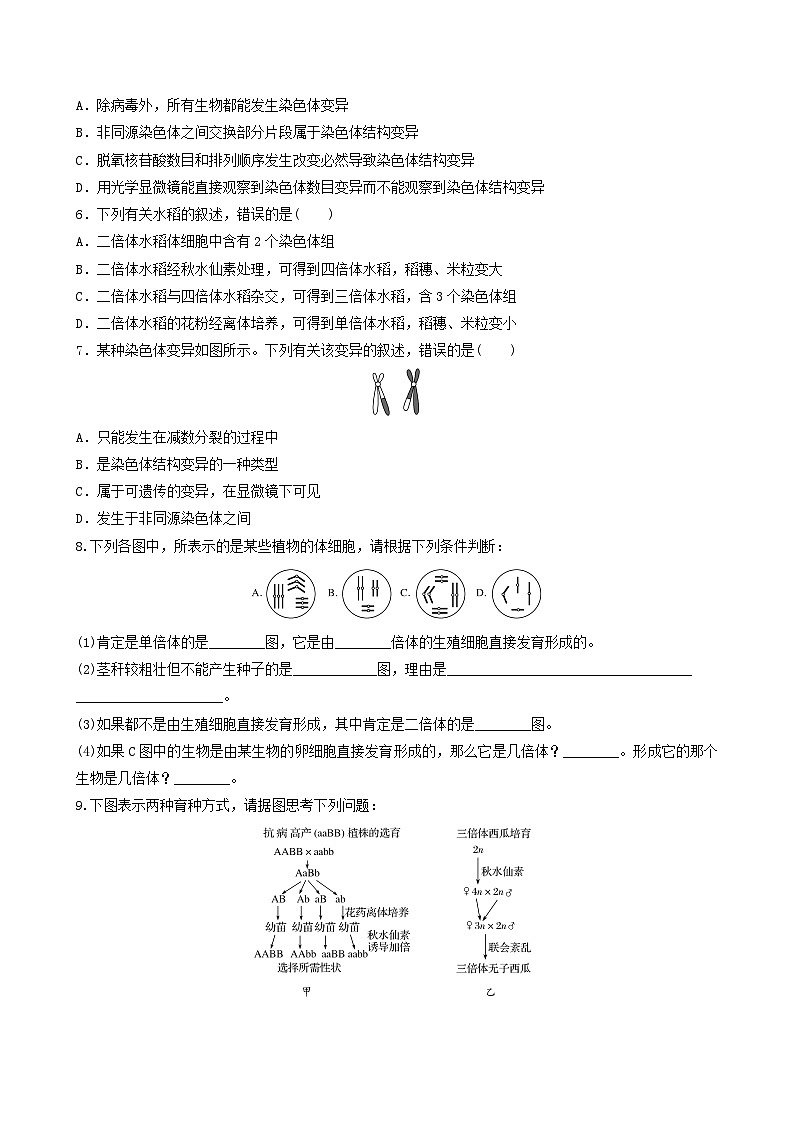 人教版高中生物必修二5.2《染色体变异》（第2课时）（分层作业）（原卷版)第2页