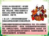 人教版高中生物必修二5.3《人类遗传病》课件+教案+分层练习+导学案